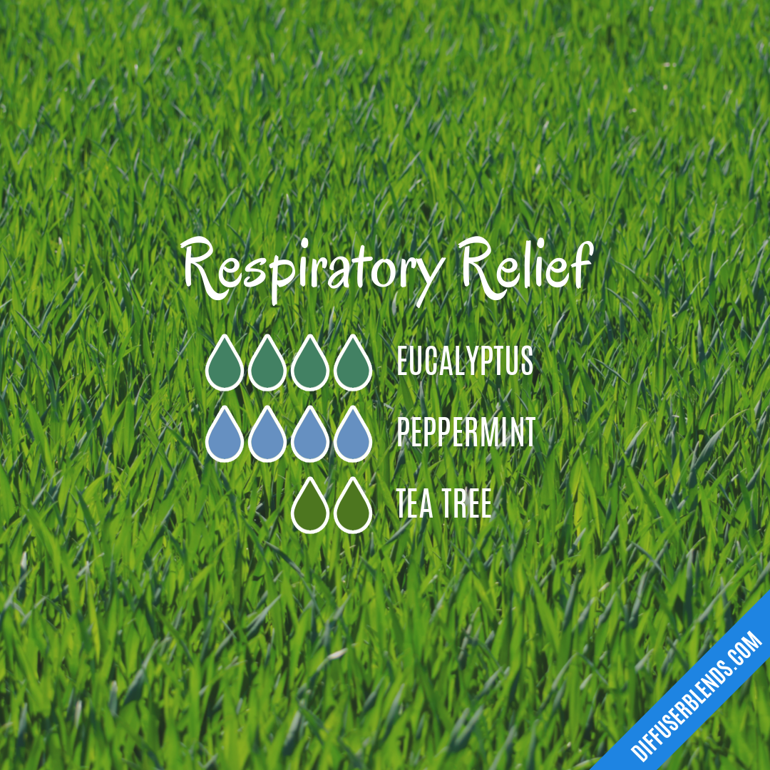 Respiratory Relief — Essential Oil Diffuser Blend