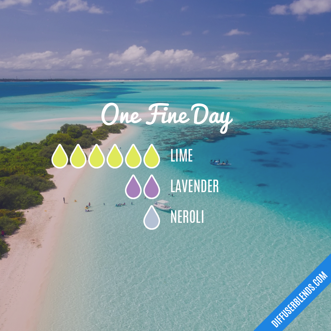 One Fine Day DiffuserBlends one-fine-day-diffuserblends