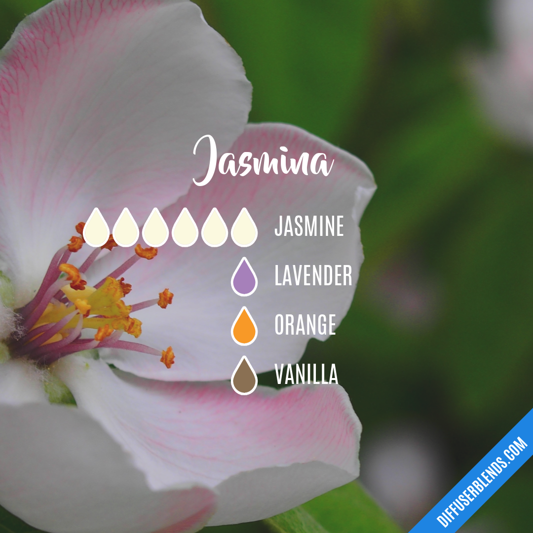 Jasmina — Essential Oil Diffuser Blend