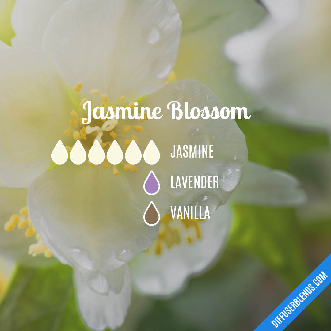 Jasmine Blossom — Essential Oil Diffuser Blend