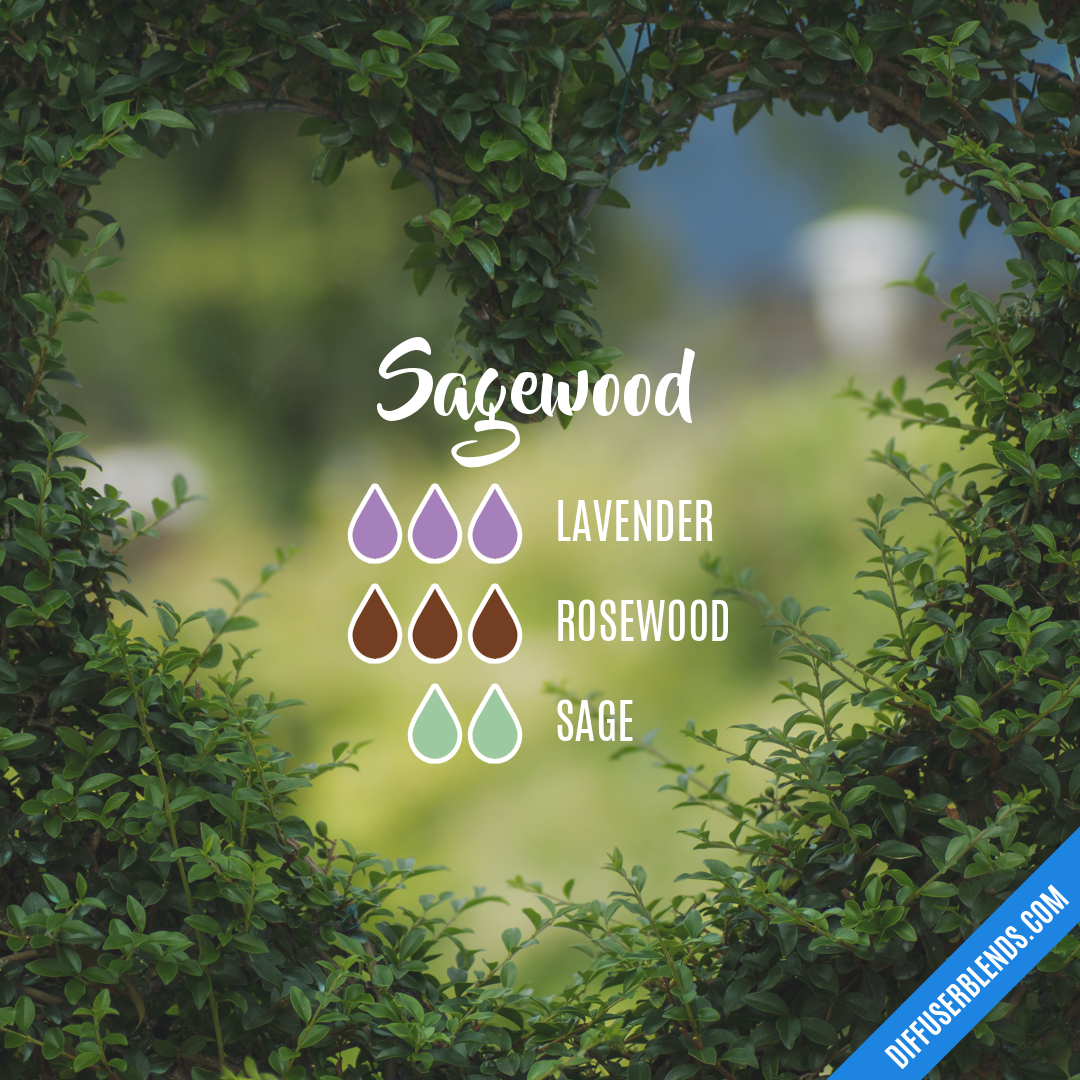 Sagewood — Essential Oil Diffuser Blend