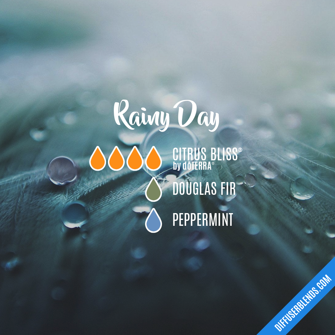 Rainy Day — Essential Oil Diffuser Blend