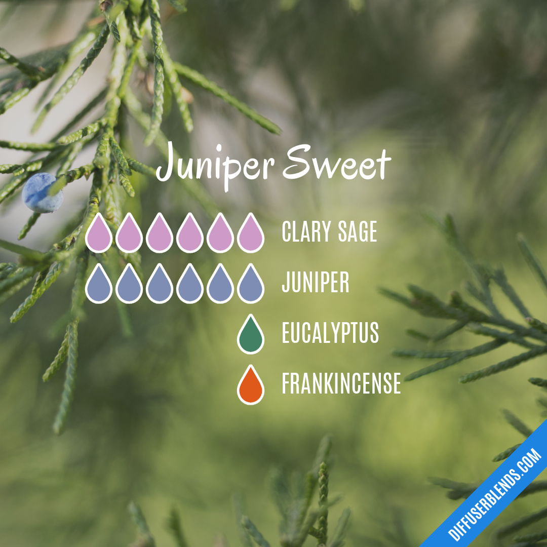 Juniper Sweet — Essential Oil Diffuser Blend