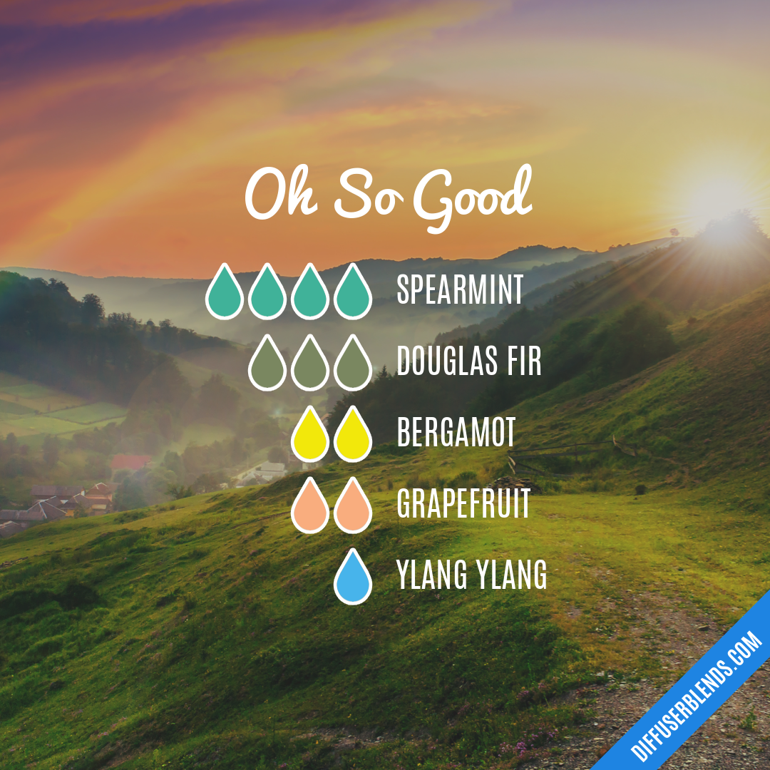 Oh So Good — Essential Oil Diffuser Blend