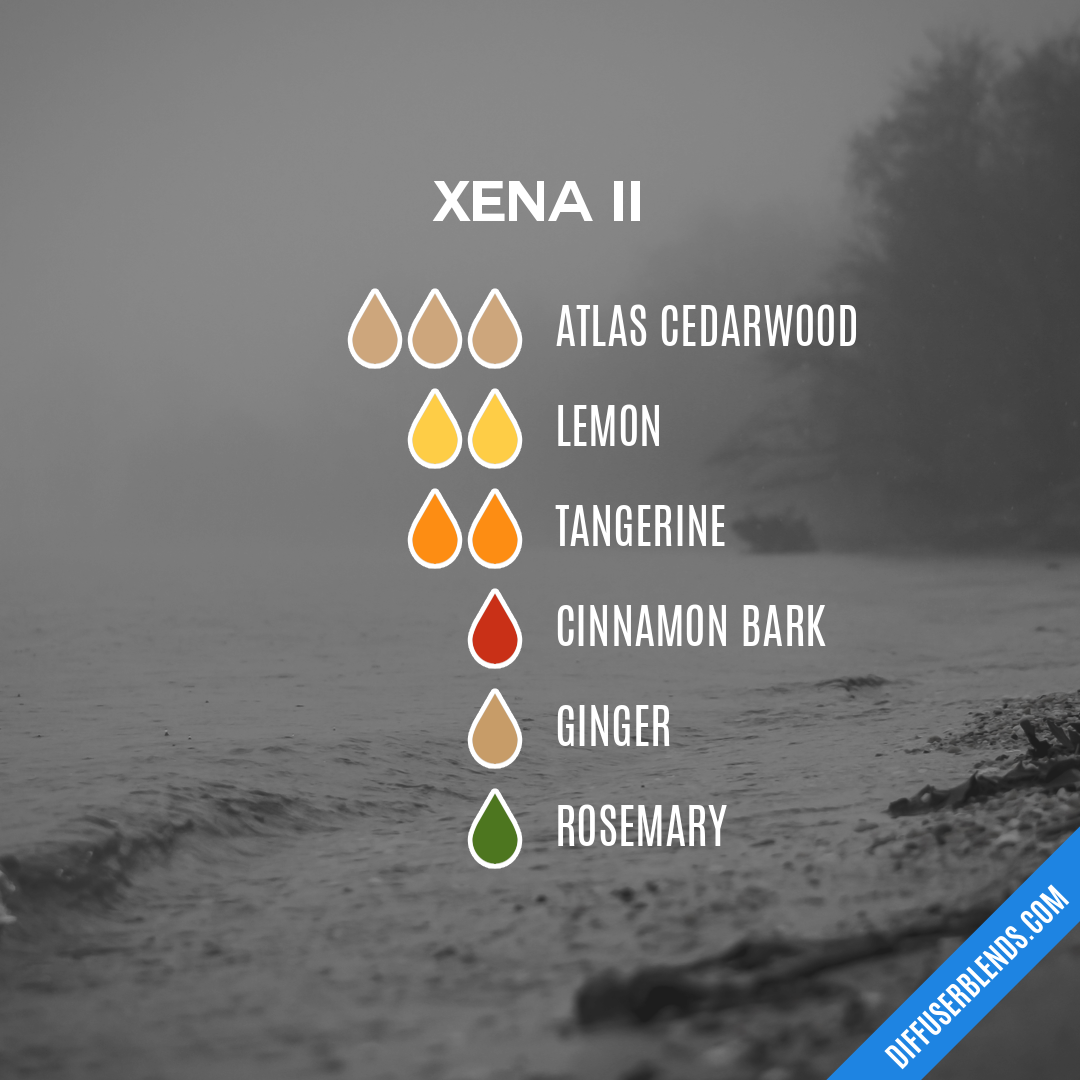 Xena Ii — Essential Oil Diffuser Blend