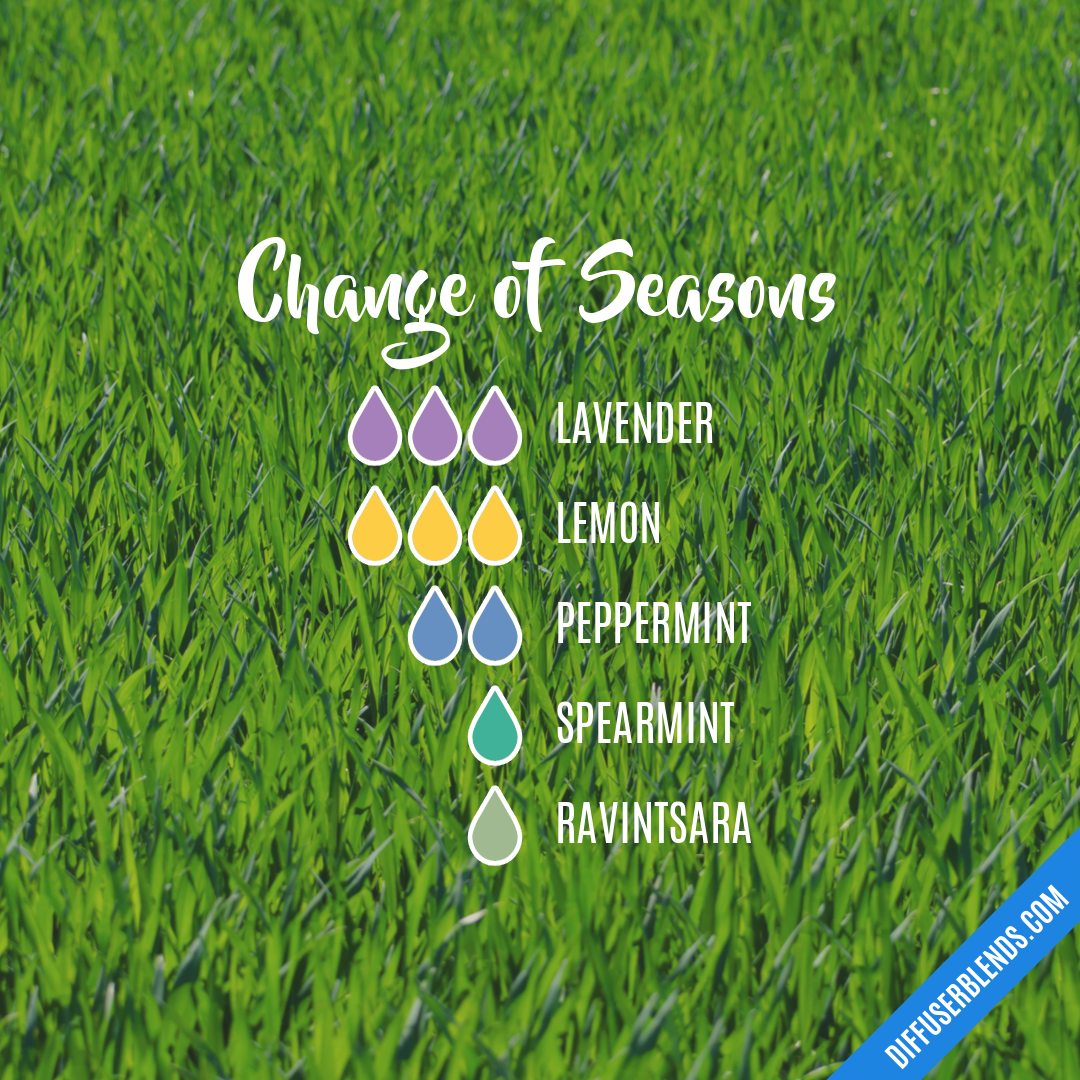 Change of Seasons — Essential Oil Diffuser Blend