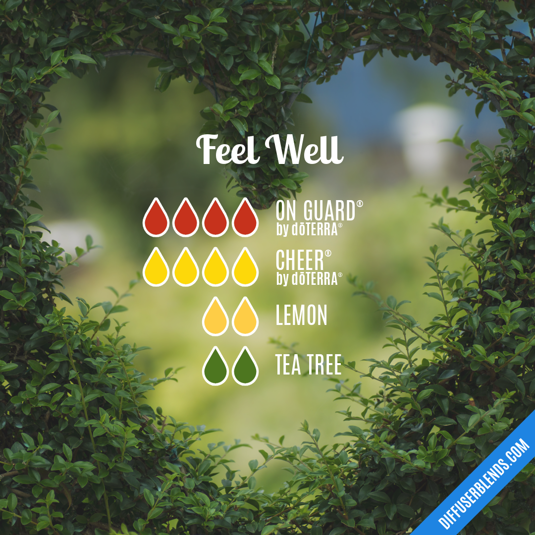 Feel Well — Essential Oil Diffuser Blend