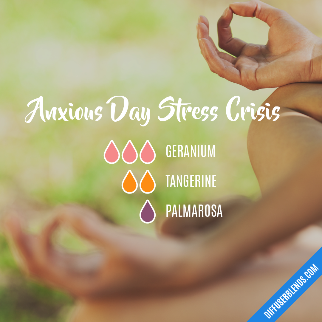 Anxious Day Stress Crisis — Essential Oil Diffuser Blend