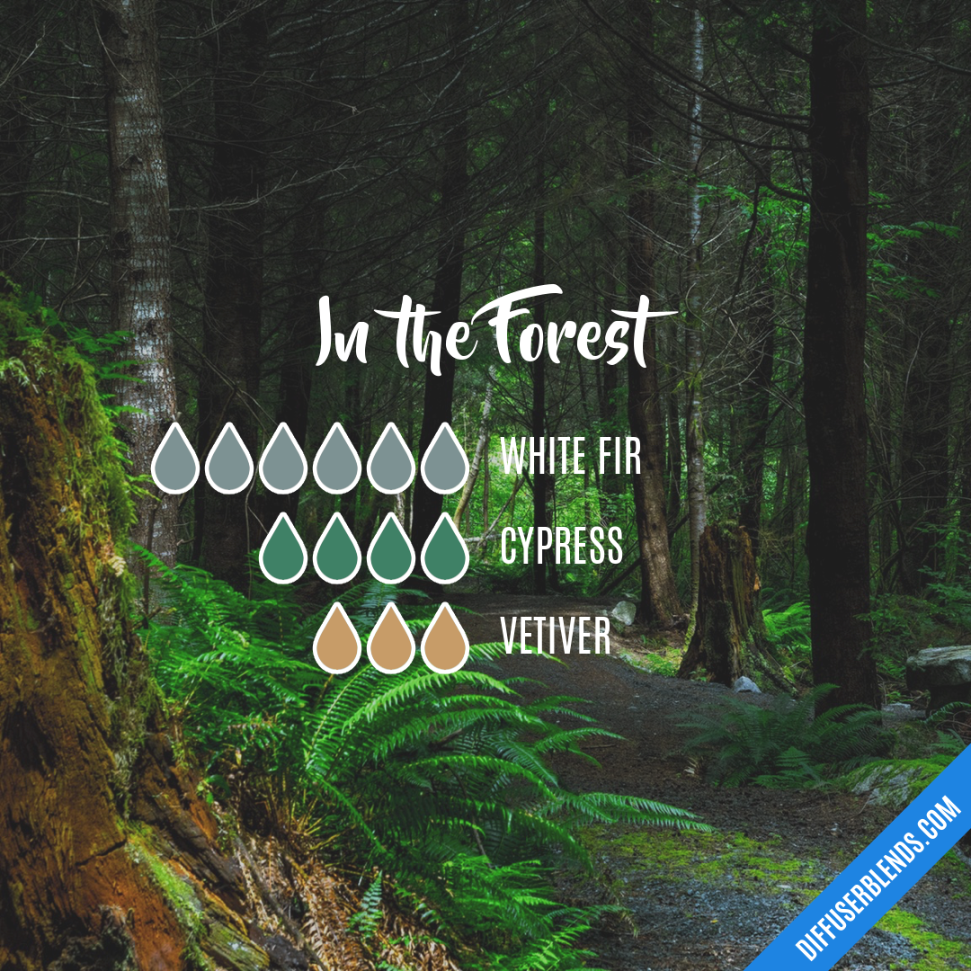 In the Forest — Essential Oil Diffuser Blend