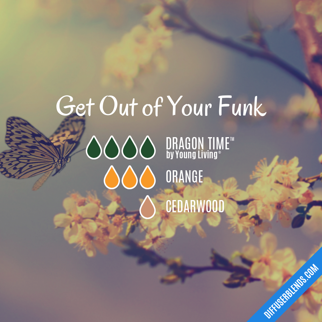 Get Out of Your Funk — Essential Oil Diffuser Blend