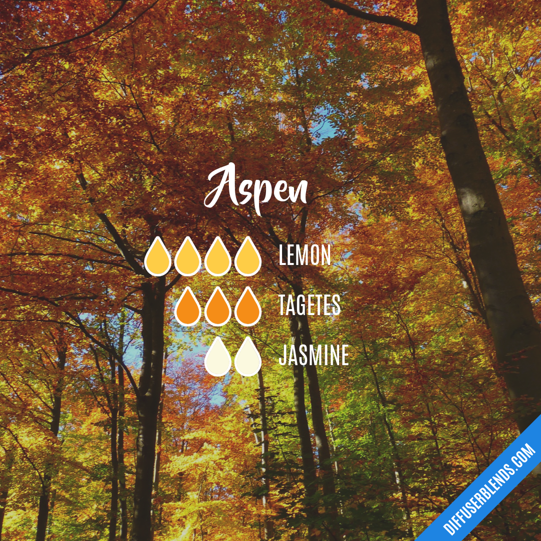 Aspen — Essential Oil Diffuser Blend