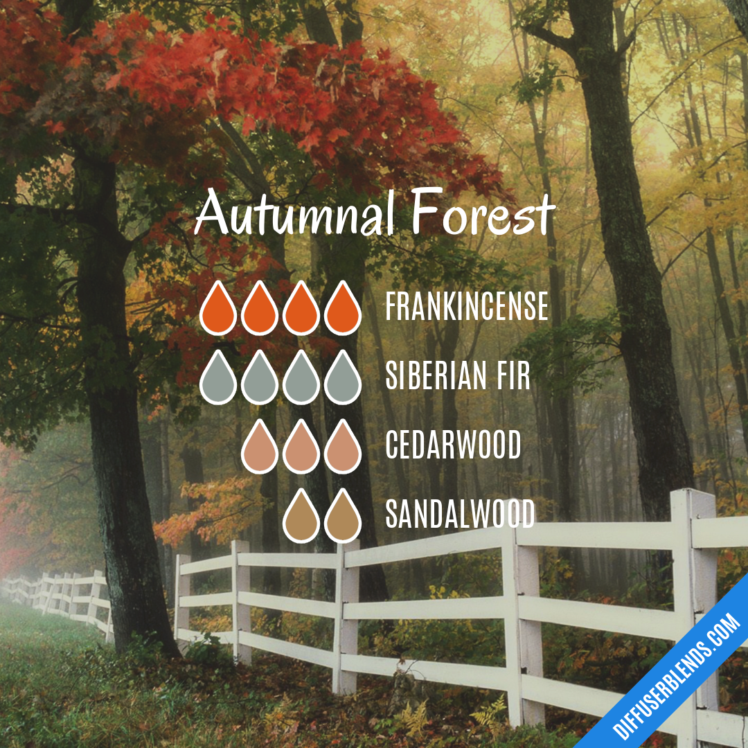 Autumnal Forest — Essential Oil Diffuser Blend