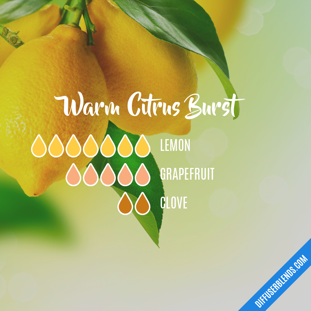 Warm Citrus Burst | DiffuserBlends.com