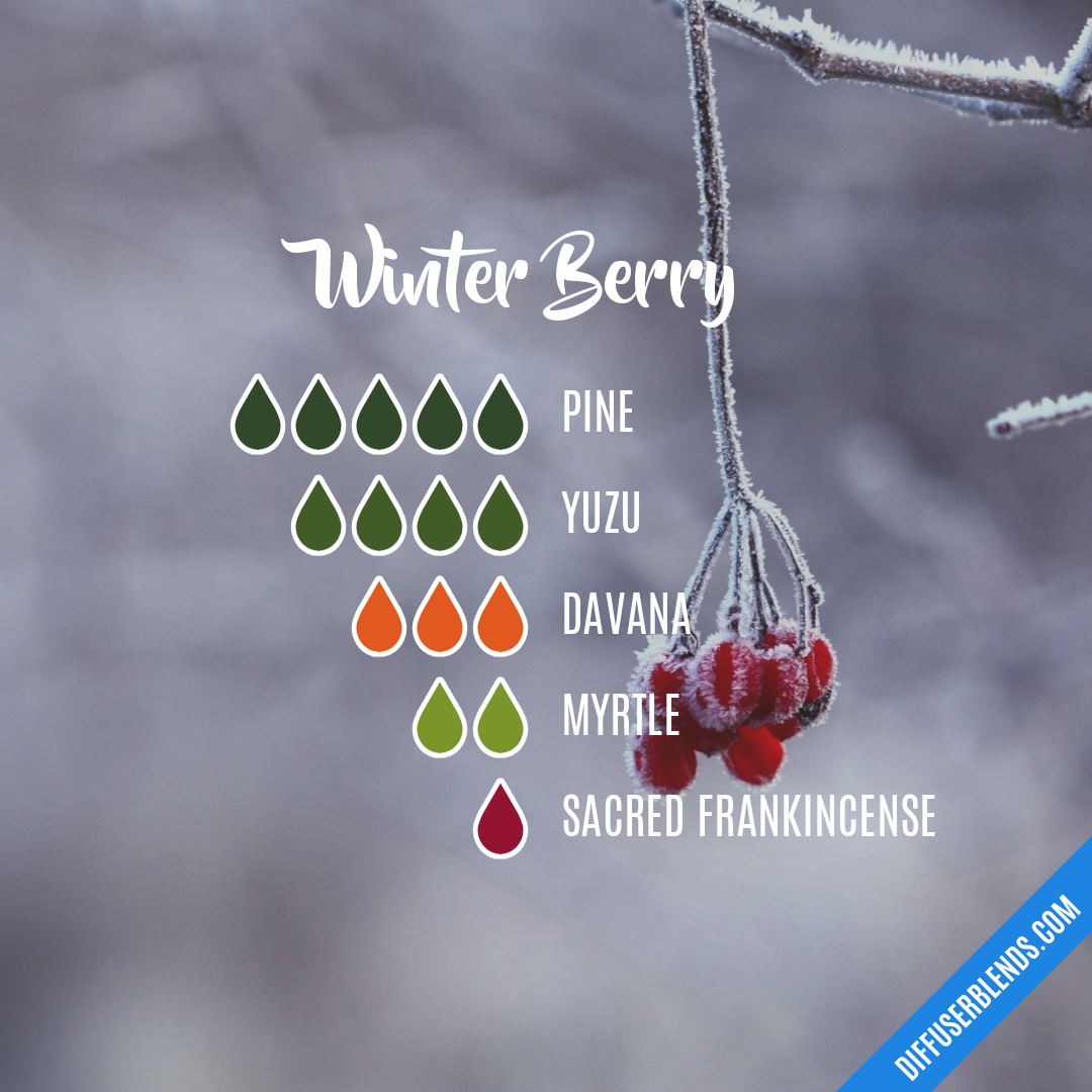 Winter Berry — Essential Oil Diffuser Blend