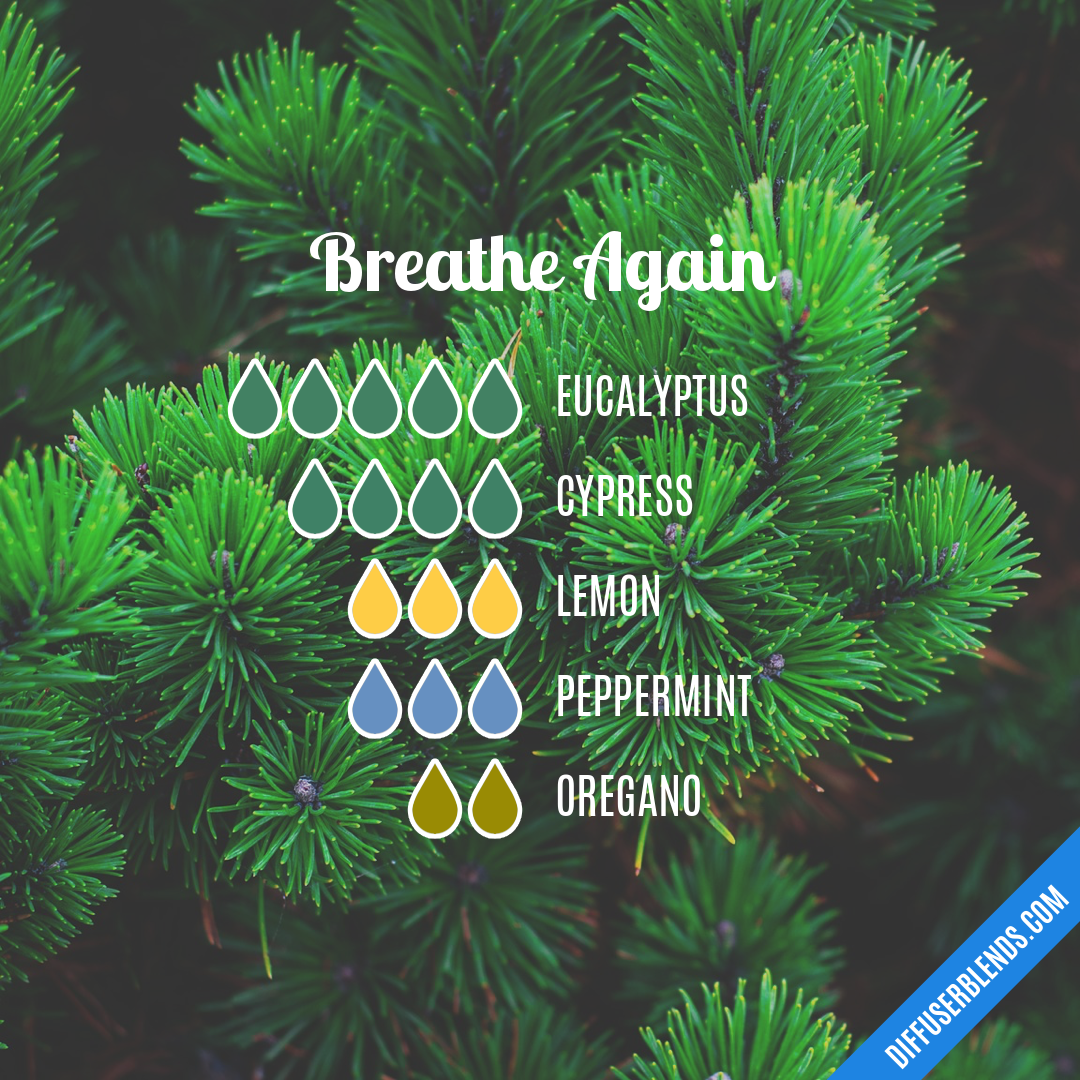 Breathe Again — Essential Oil Diffuser Blend