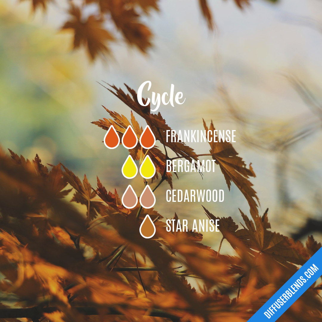 Cycle — Essential Oil Diffuser Blend