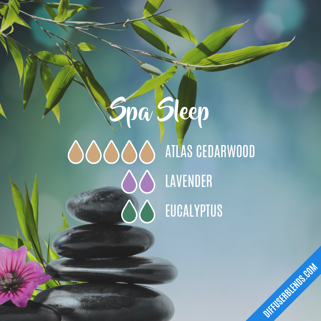Spa Sleep — Essential Oil Diffuser Blend