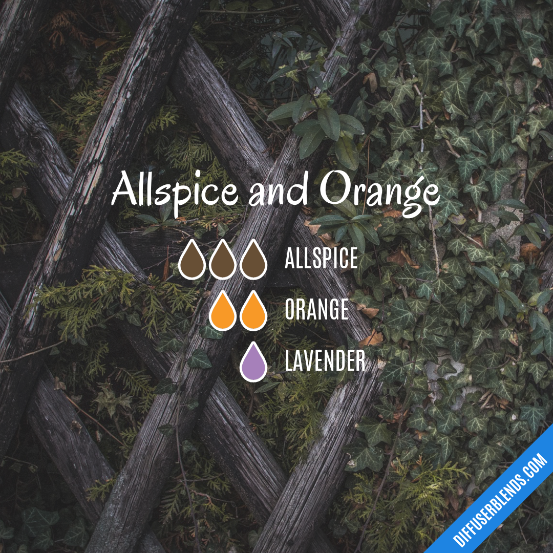 Allspice and Orange — Essential Oil Diffuser Blend