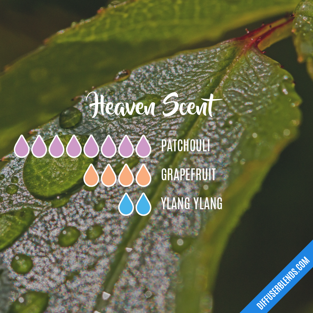 Heaven Scent — Essential Oil Diffuser Blend