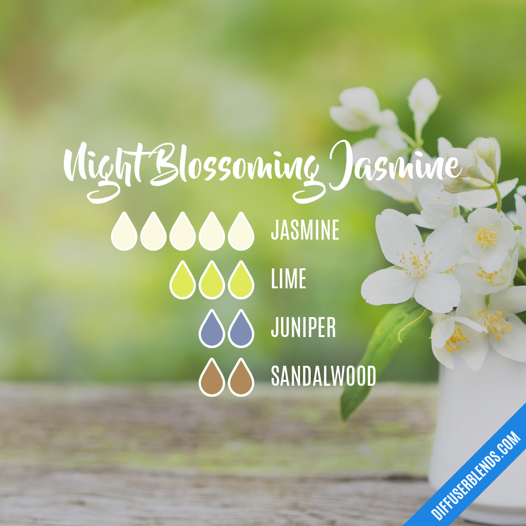 Night Blossoming Jasmine — Essential Oil Diffuser Blend