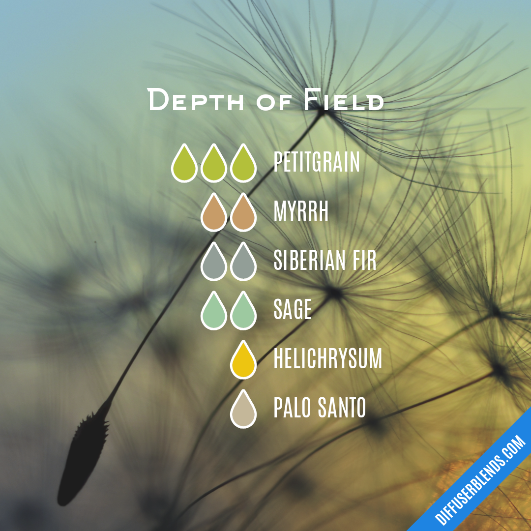Depth of Field — Essential Oil Diffuser Blend