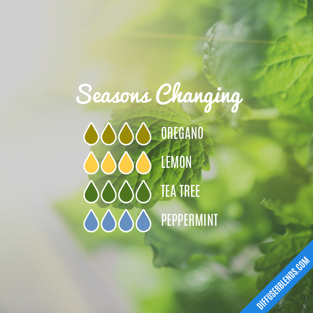 Seasons Changing — Essential Oil Diffuser Blend