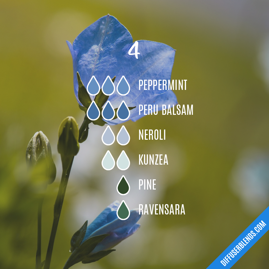 4 — Essential Oil Diffuser Blend