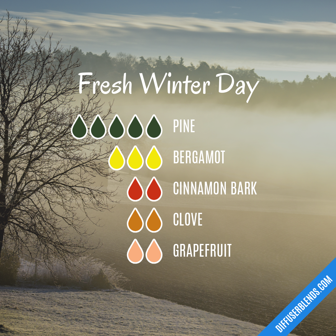 Fresh Winter Day — Essential Oil Diffuser Blend