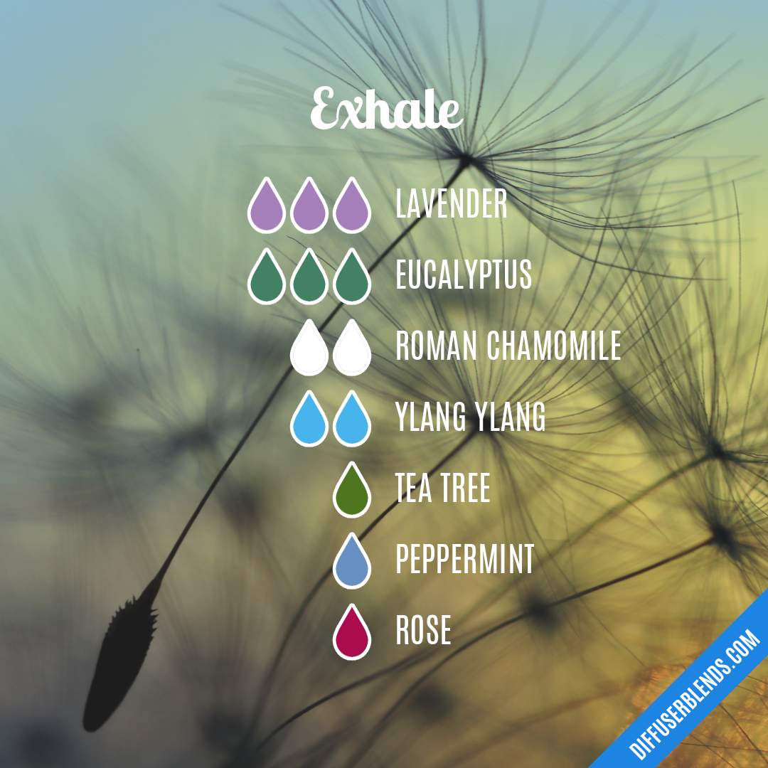 Exhale — Essential Oil Diffuser Blend