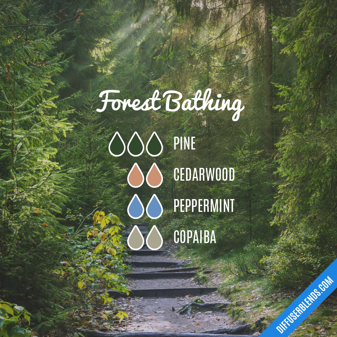 Forest Bathing — Essential Oil Diffuser Blend