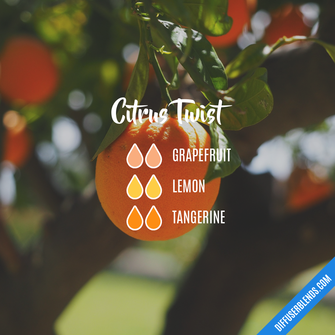 Citrus Twist — Essential Oil Diffuser Blend