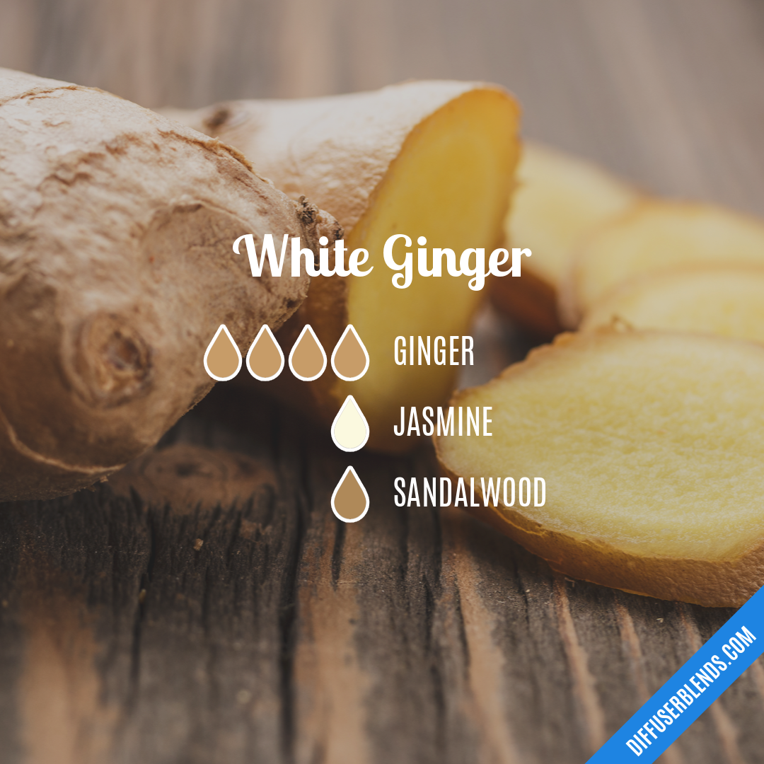 White Ginger — Essential Oil Diffuser Blend