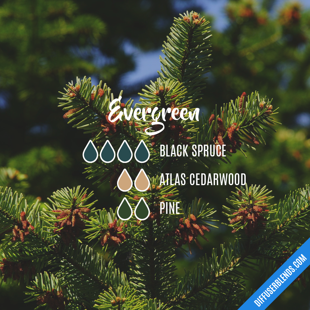 Evergreen — Essential Oil Diffuser Blend