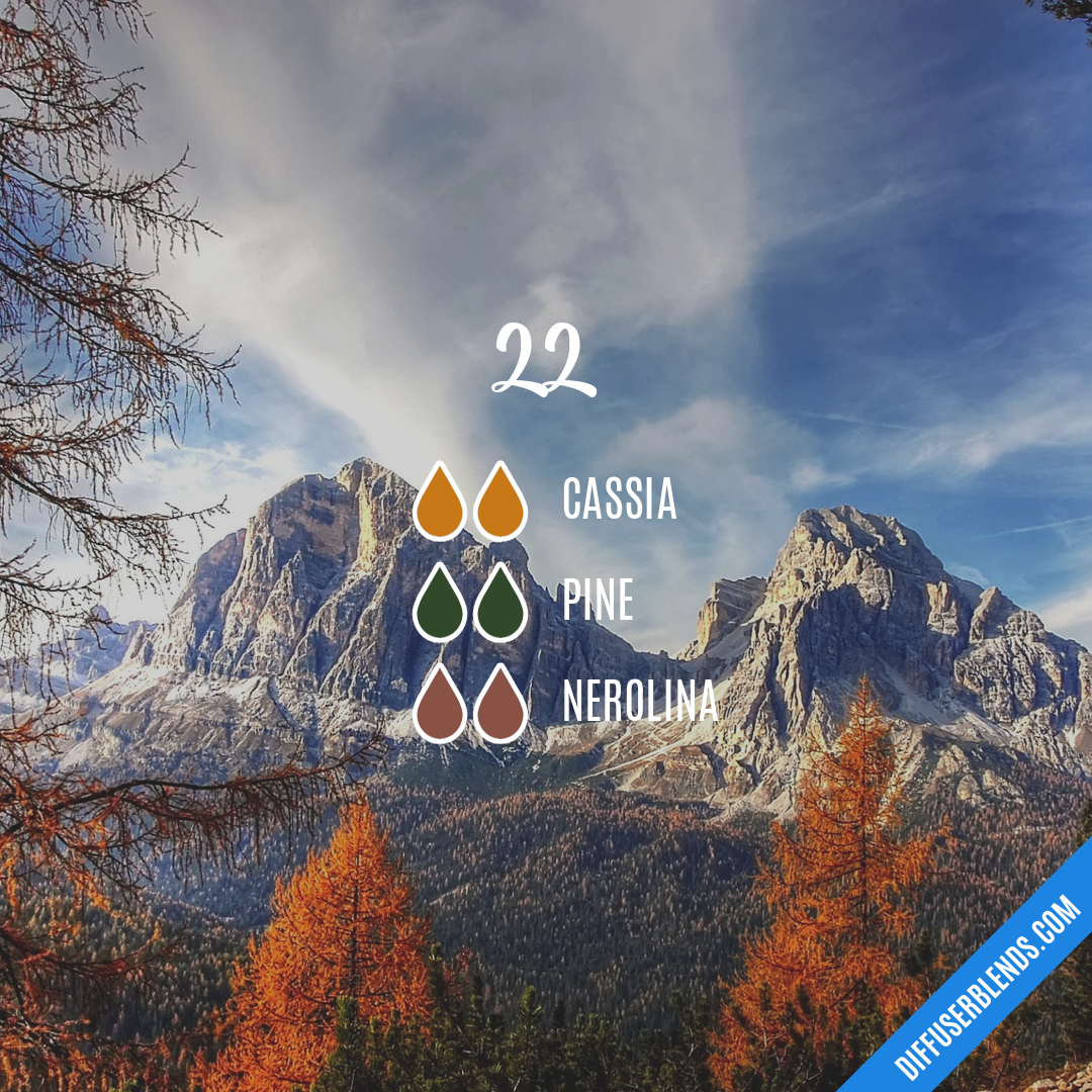 22 — Essential Oil Diffuser Blend