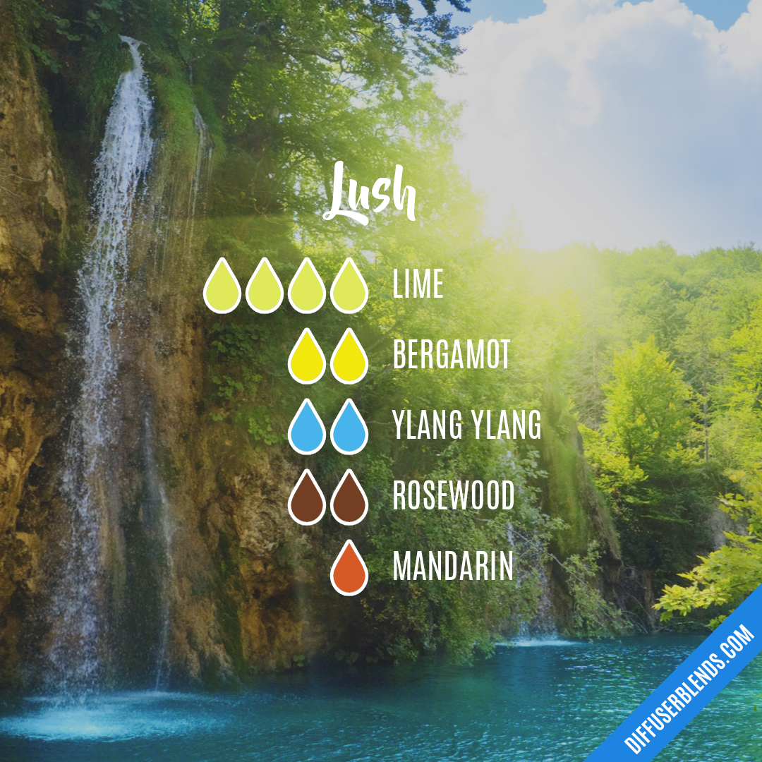 Lush — Essential Oil Diffuser Blend