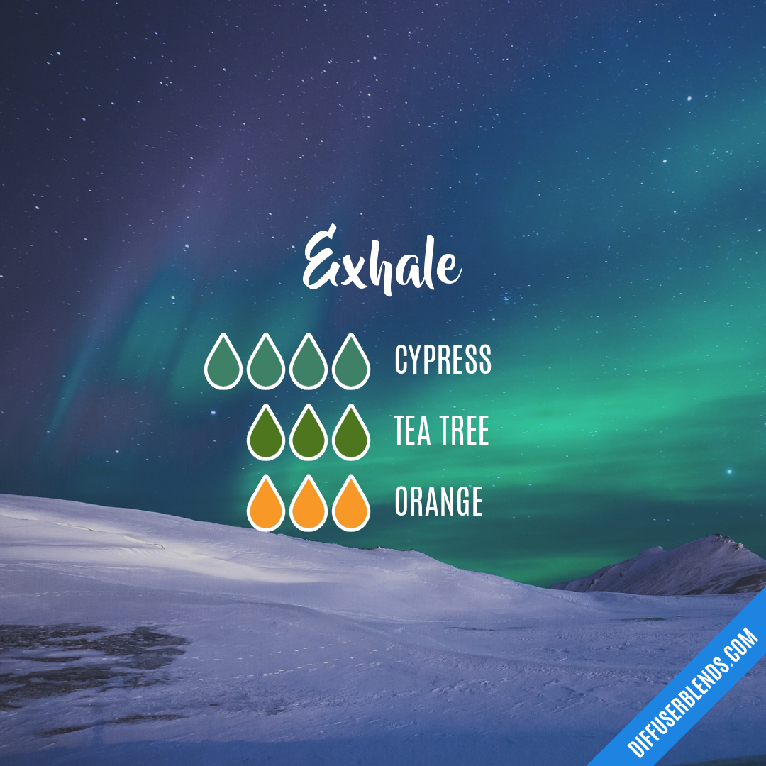 Exhale — Essential Oil Diffuser Blend