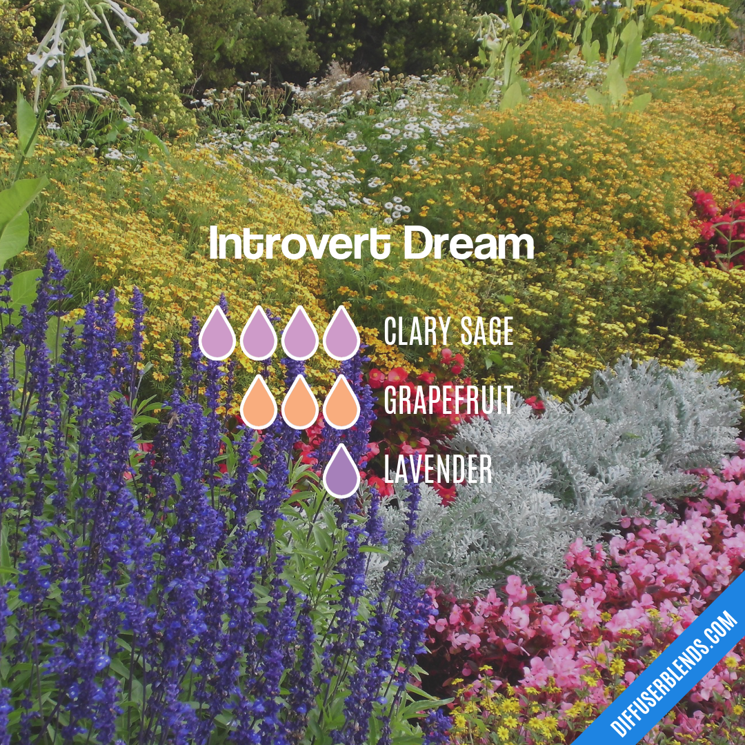 Introvert Dream — Essential Oil Diffuser Blend