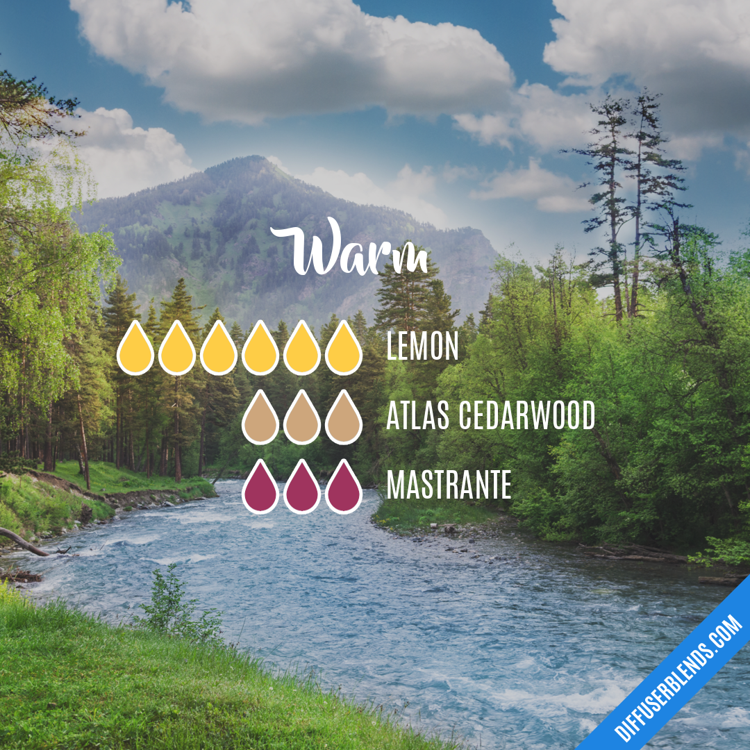 Warm — Essential Oil Diffuser Blend