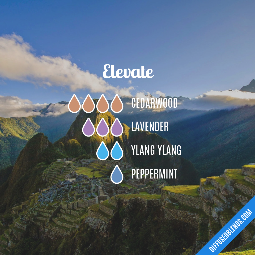 Elevate — Essential Oil Diffuser Blend