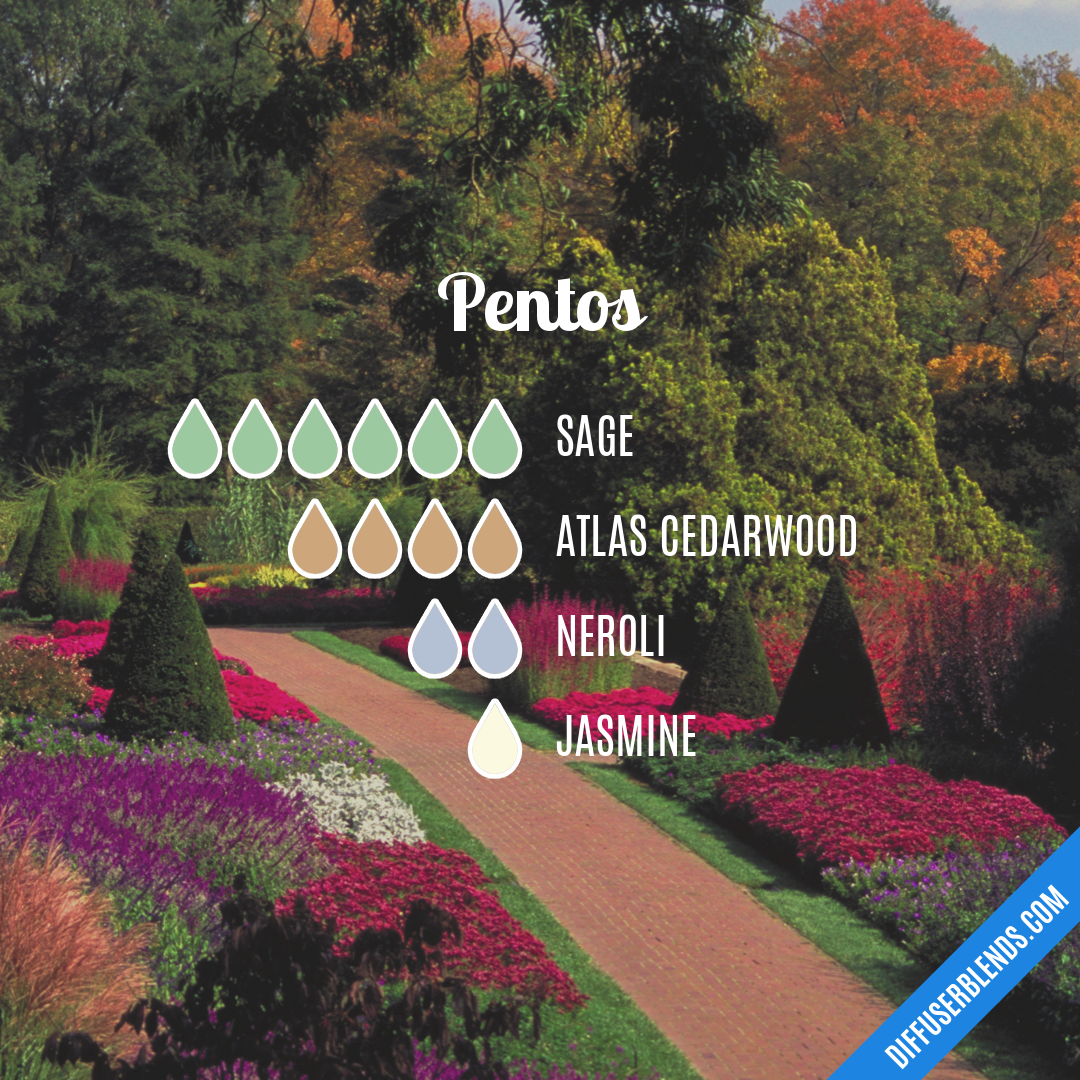 Pentos — Essential Oil Diffuser Blend