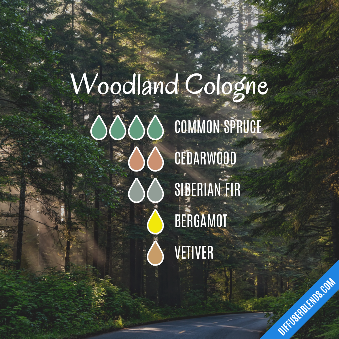 Woodland Cologne — Essential Oil Diffuser Blend