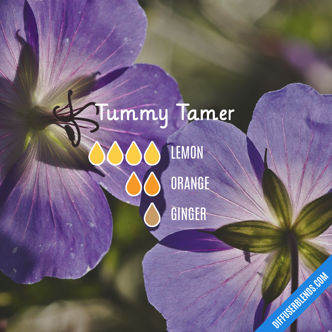 Tummy Tamer | DiffuserBlends.com