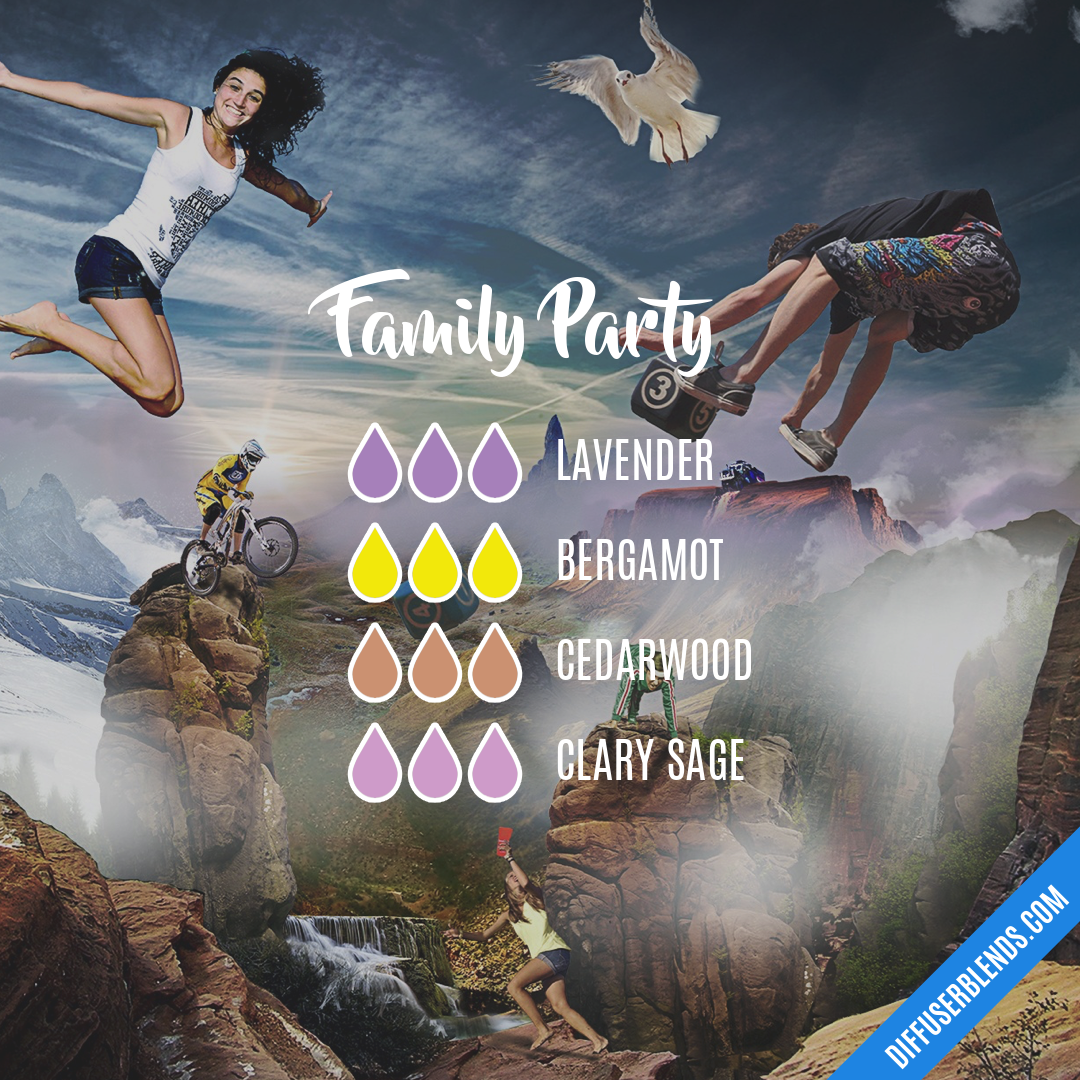 Family Party — Essential Oil Diffuser Blend