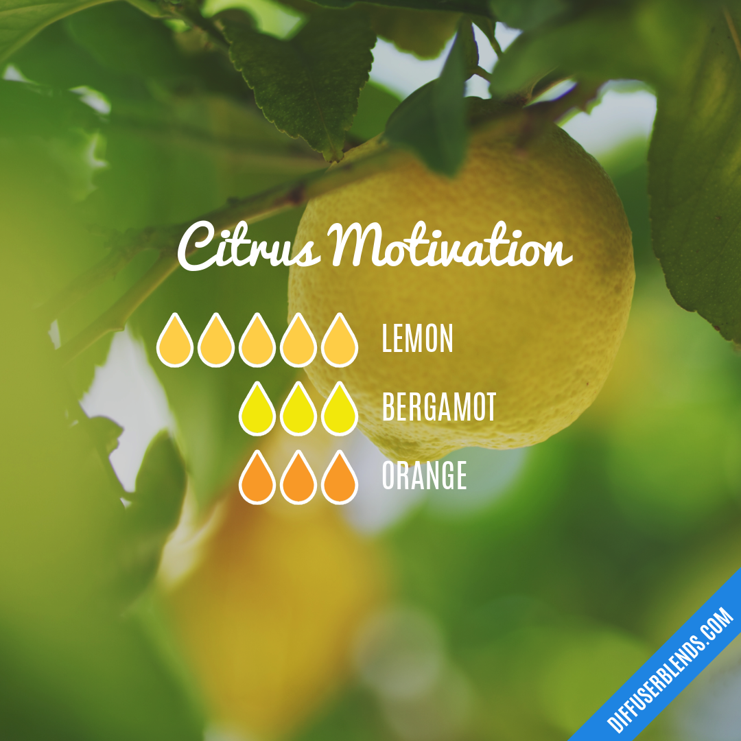 Citrus Motivation — Essential Oil Diffuser Blend