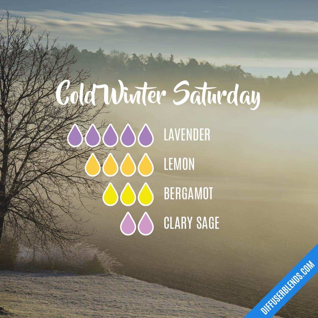 Cold Winter Saturday — Essential Oil Diffuser Blend