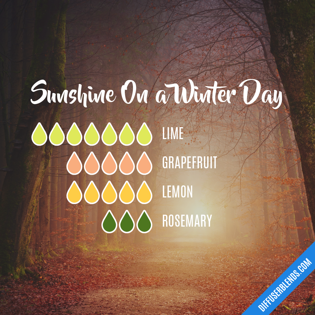 Sunshine On a Winter Day — Essential Oil Diffuser Blend