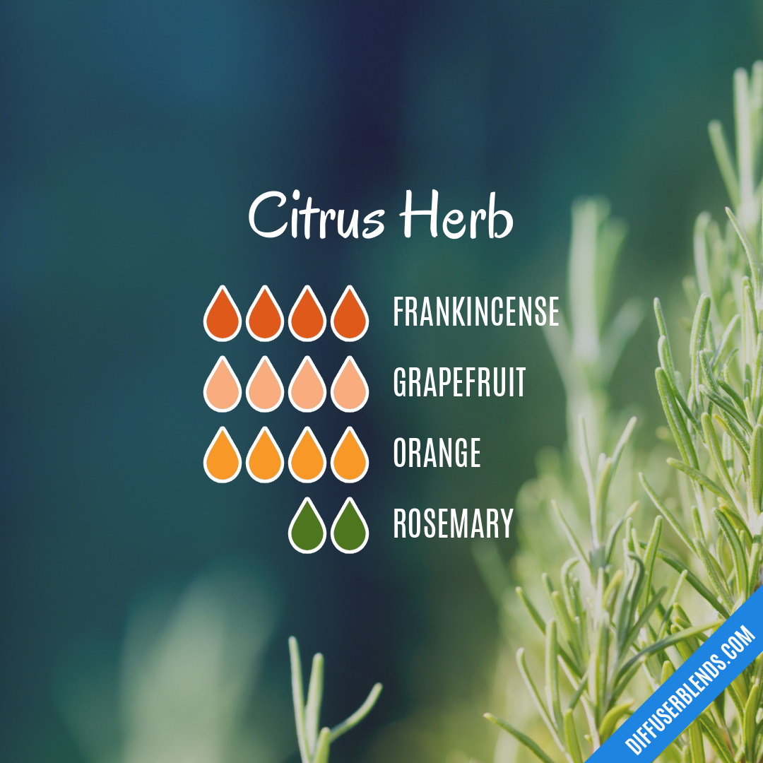 Citrus Herb — Essential Oil Diffuser Blend