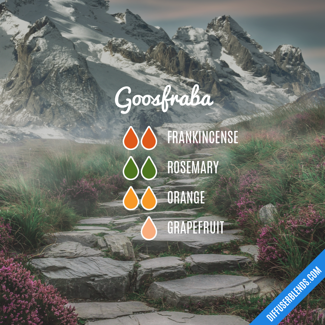 Goosfraba — Essential Oil Diffuser Blend