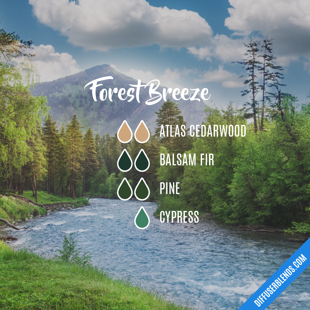 Forest Breeze — Essential Oil Diffuser Blend