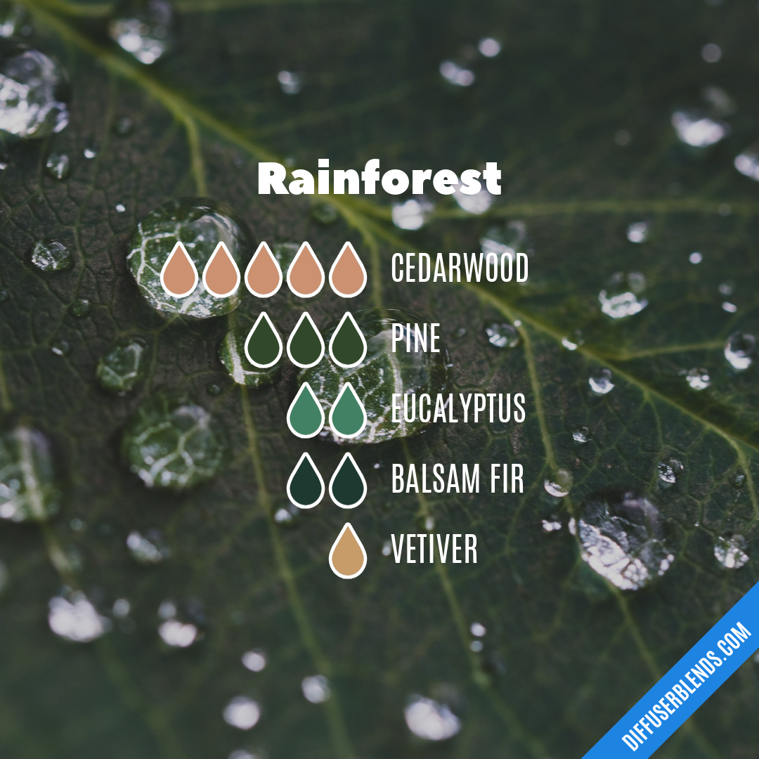 Rainforest — Essential Oil Diffuser Blend